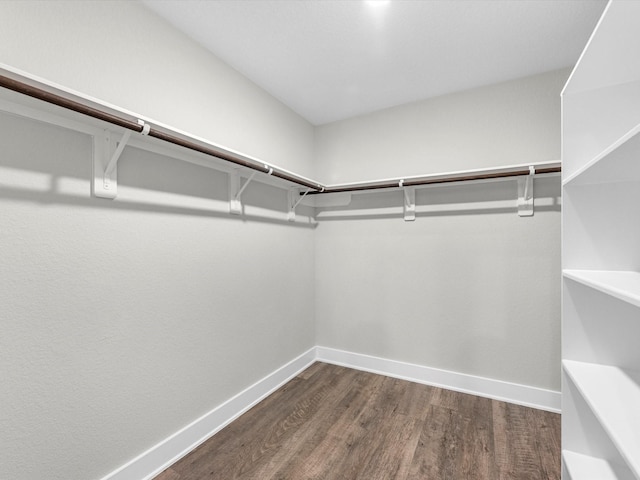 spacious closet featuring dark hardwood / wood-style flooring