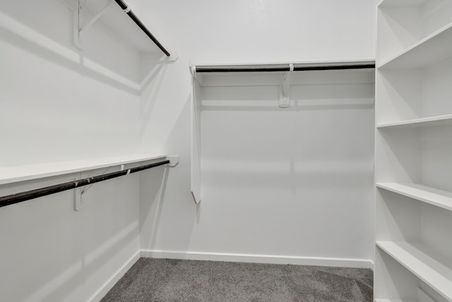 walk in closet featuring carpet flooring