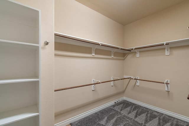 spacious closet featuring carpet