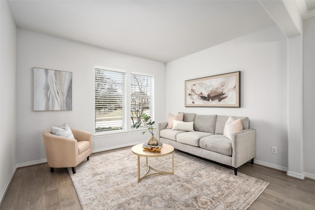 living room featuring hardwood / wood-style flooring