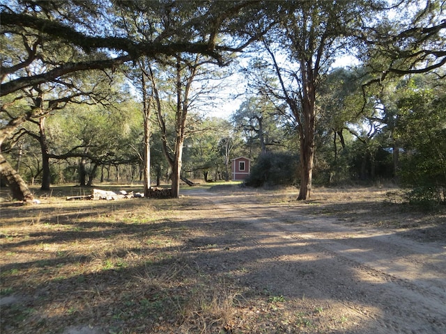 Listing photo 2 for TBD County Road 122, Hallettsville TX 77964