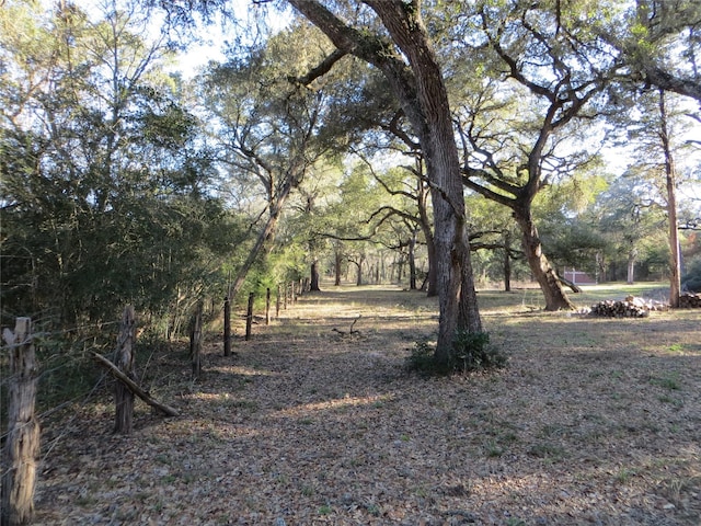 Listing photo 3 for TBD County Road 122, Hallettsville TX 77964