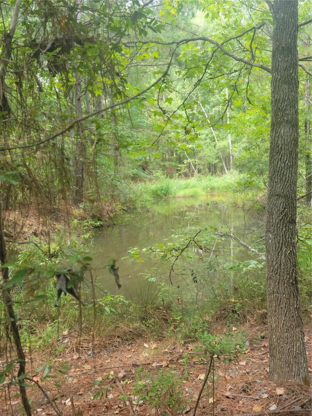 view of landscape featuring a water view