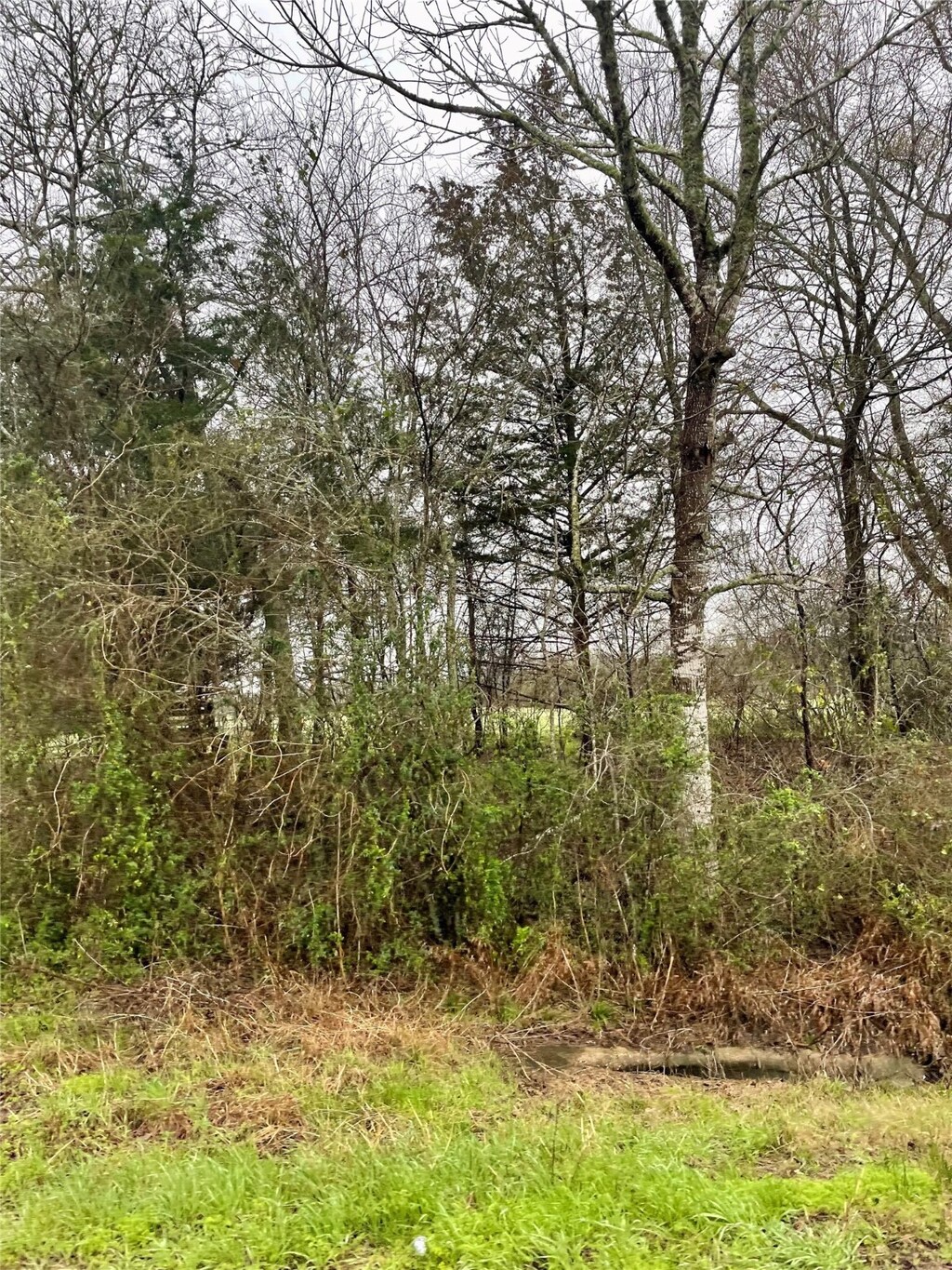 000 Fm 1774, Plantersville, TX 77363 - photo 4