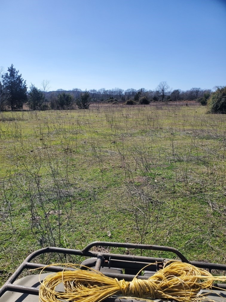 000 Fm 1774, Plantersville, TX 77363 - photo 1