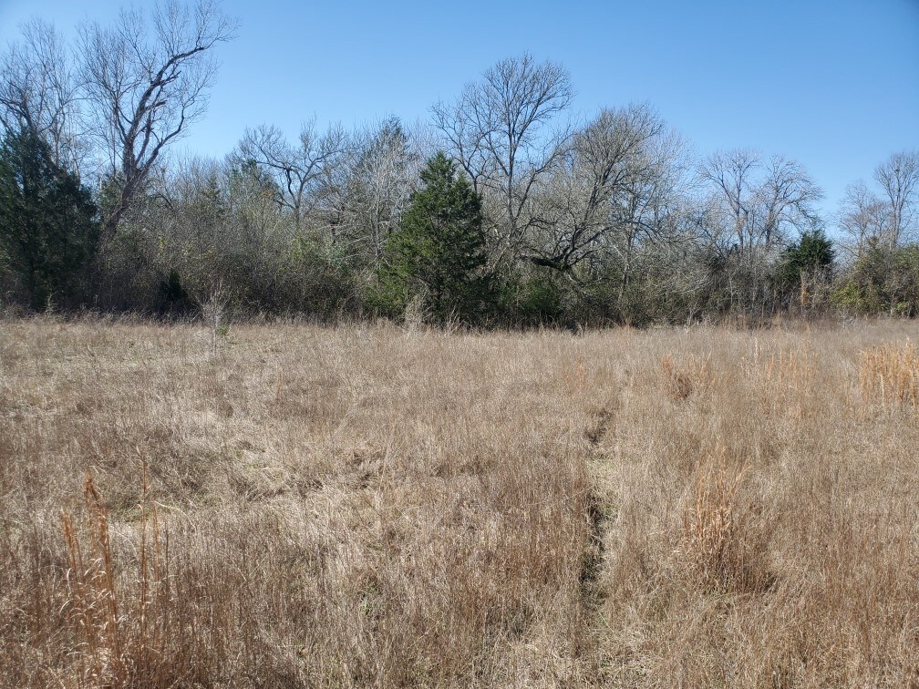000 Fm 1774, Plantersville, TX 77363 - photo 2