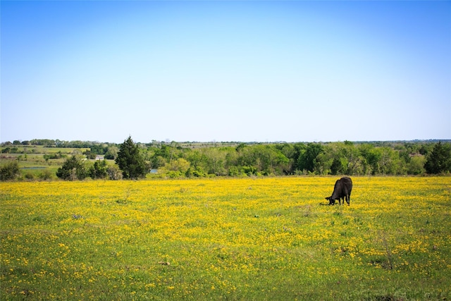 177ACRES Chadwick Hogan Rd, Chappell Hill TX, 77426 land for sale