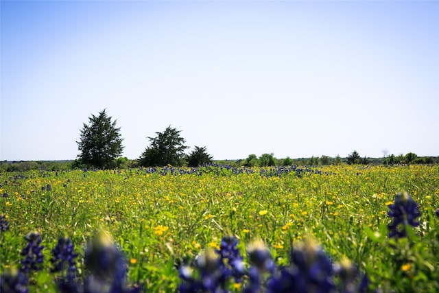 Listing photo 2 for 177ACRES Chadwick Hogan Rd, Chappell Hill TX 77426