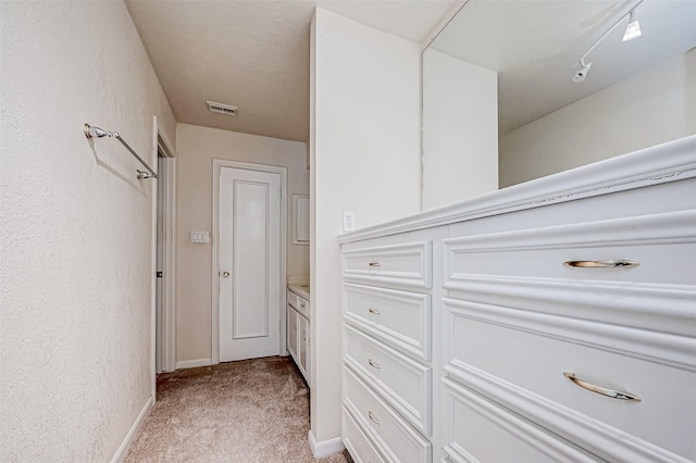 spacious closet featuring light carpet