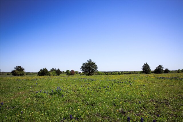 74ACRES Caney Creek Rd, Chappell Hill, TX 77426