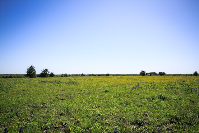 74ACRES Caney Creek Rd, Chappell Hill, TX 77426