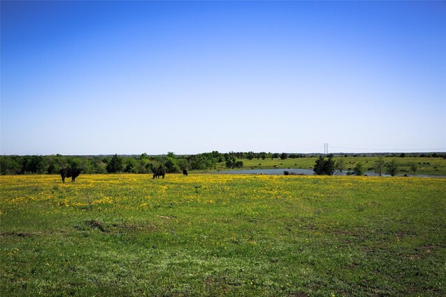 74ACRES Caney Creek Rd, Chappell Hill, TX 77426