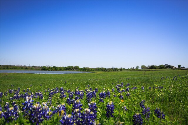 74ACRES Caney Creek Rd, Chappell Hill, TX 77426