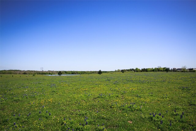 74ACRES Caney Creek Rd, Chappell Hill, TX 77426