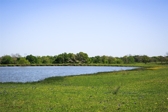 74ACRES Caney Creek Rd, Chappell Hill, TX 77426