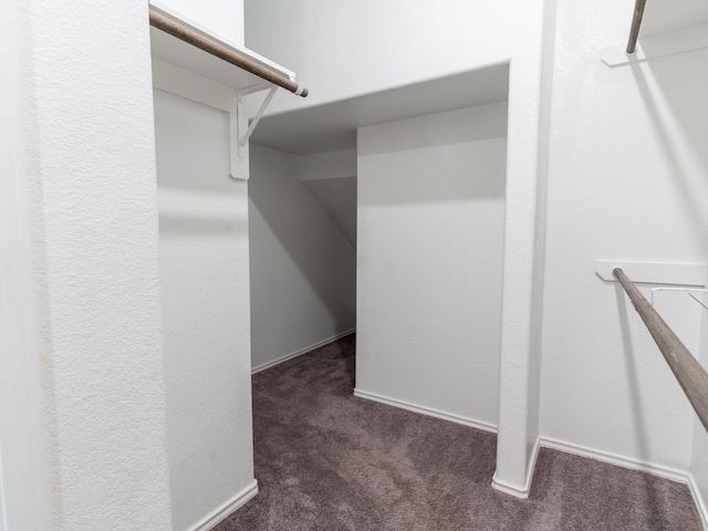 walk in closet featuring dark colored carpet