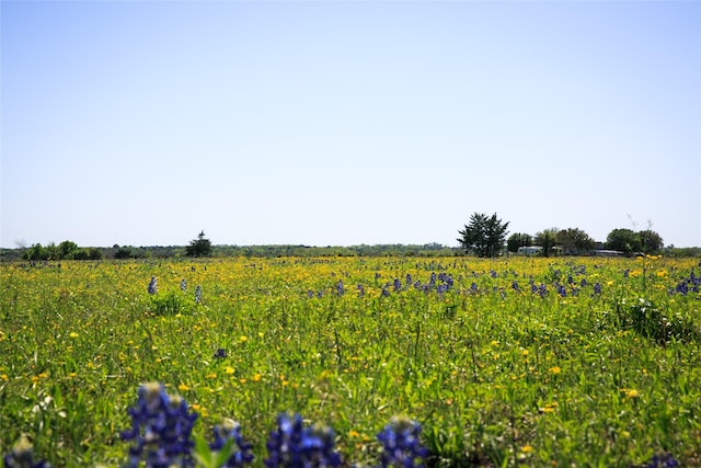 Listing photo 2 for 84ACRES Caney Creek Rd, Chappell Hill TX 77426