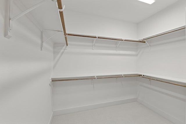 spacious closet featuring carpet floors