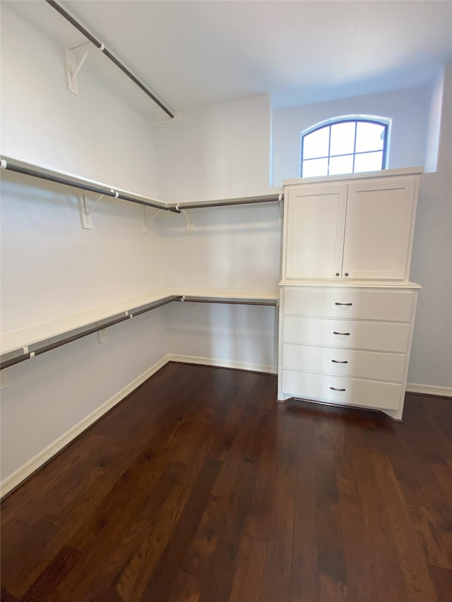 walk in closet featuring dark wood-type flooring