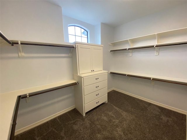 spacious closet with dark colored carpet