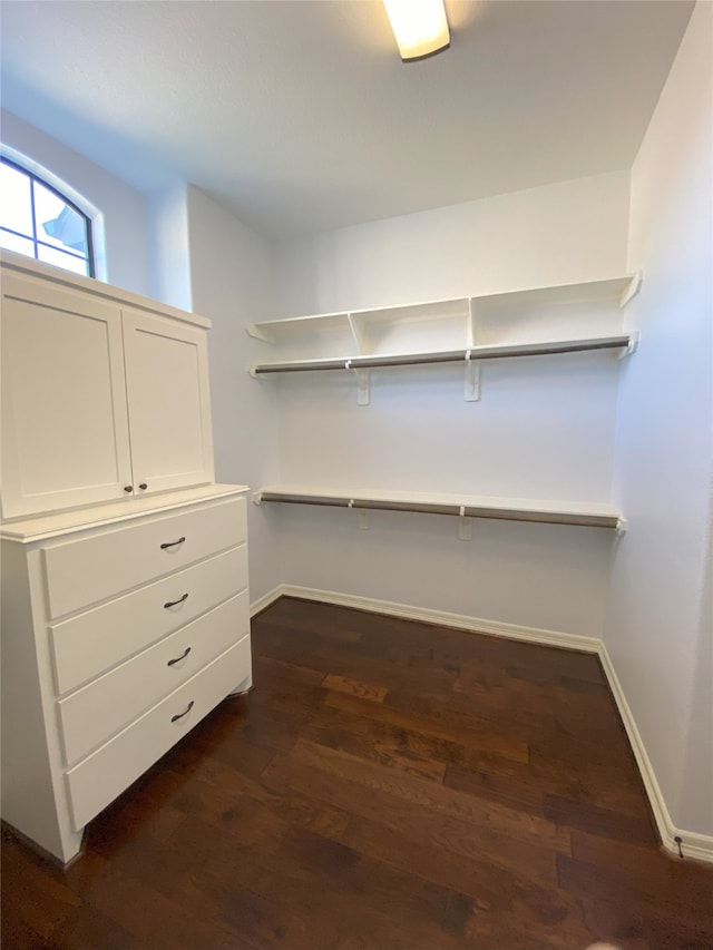 walk in closet with dark wood-type flooring