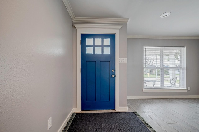 foyer with crown molding and wood-type flooring