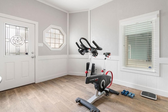 workout area with crown molding and light hardwood / wood-style floors