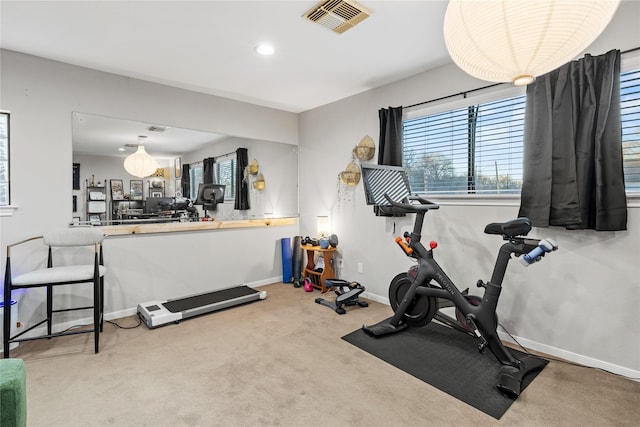 exercise room featuring carpet