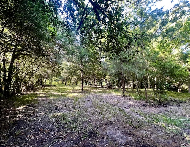 Listing photo 3 for TBD Chadwick Hogan Rd, Chappell Hill TX 77426