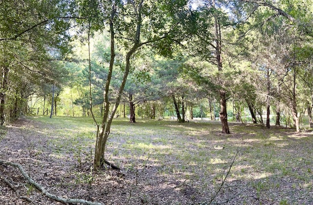 Listing photo 2 for TBD Chadwick Hogan Rd, Chappell Hill TX 77426