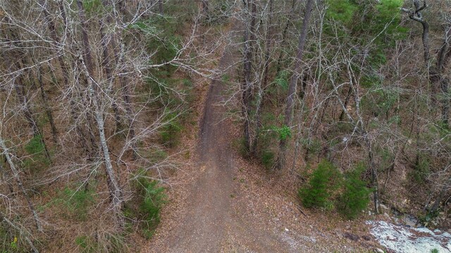 399 Cleveland Rd, Oakhurst, TX 77359