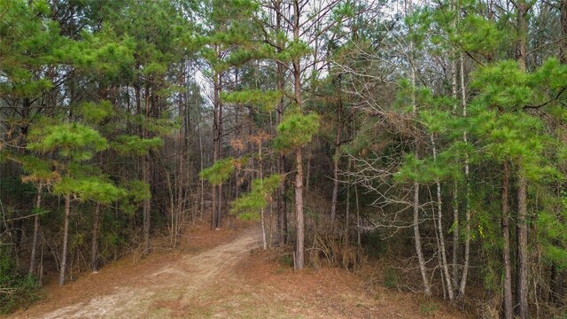 399 Cleveland Rd, Oakhurst, TX 77359