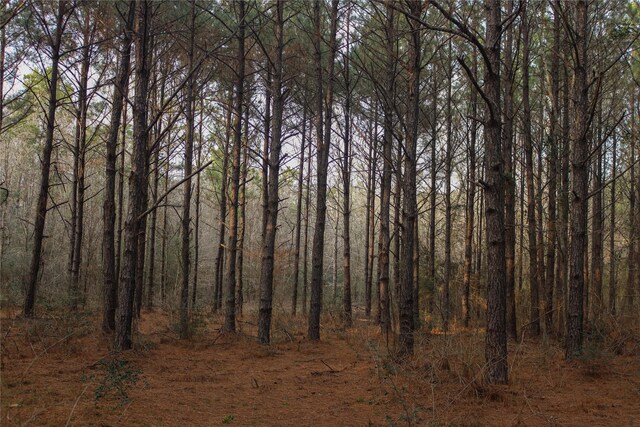 399 Cleveland Rd, Oakhurst, TX 77359