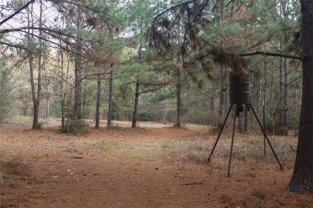 399 Cleveland Rd, Oakhurst, TX 77359