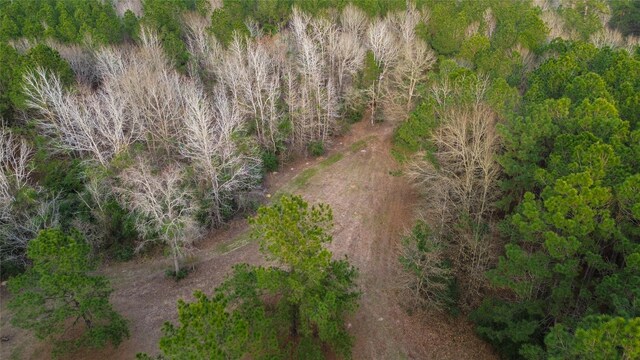 399 Cleveland Rd, Oakhurst, TX 77359