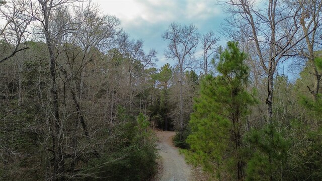 399 Cleveland Rd, Oakhurst, TX 77359