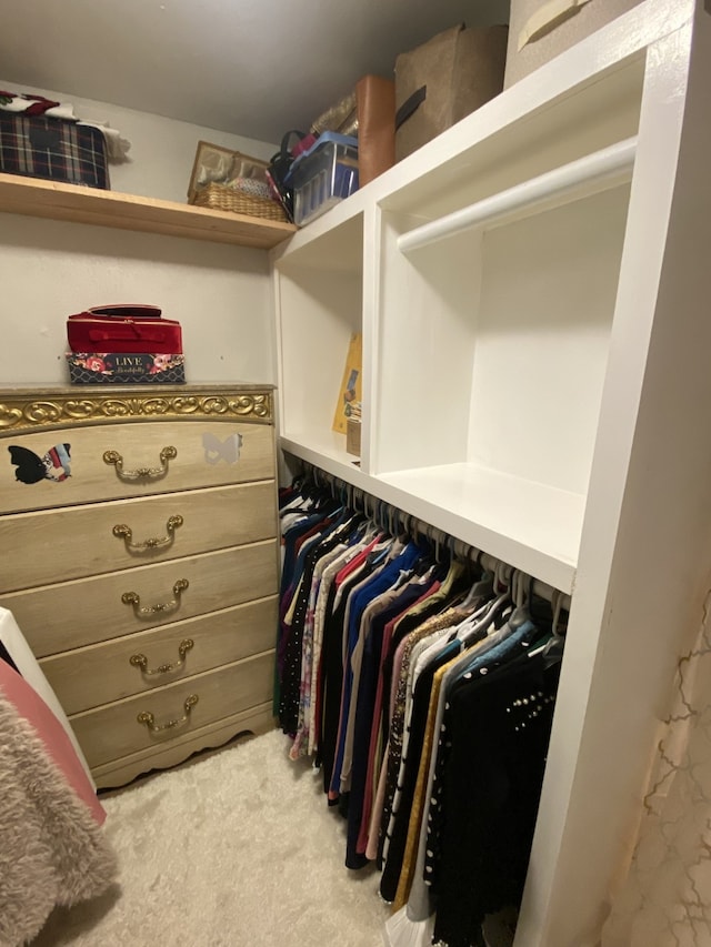 spacious closet featuring light colored carpet