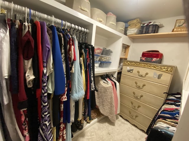 view of spacious closet