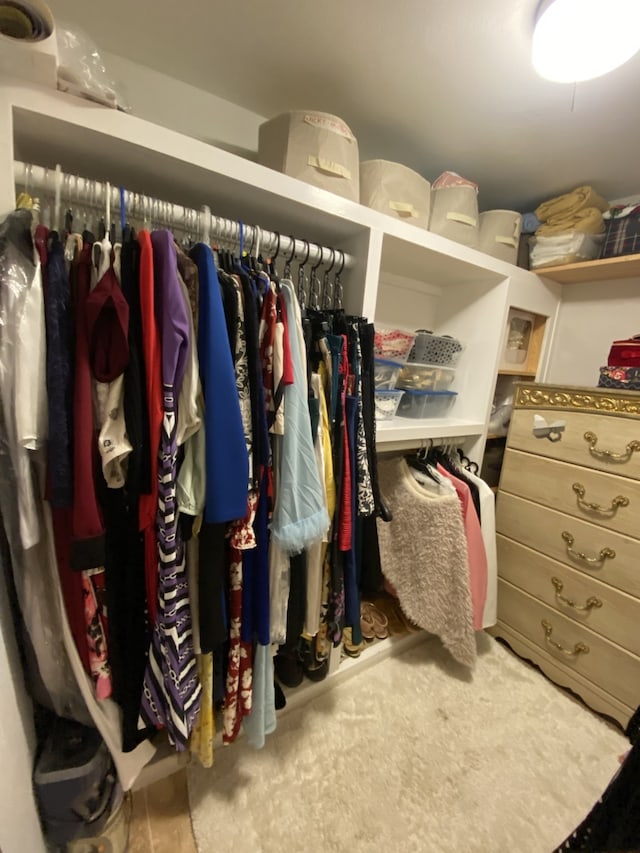 view of spacious closet