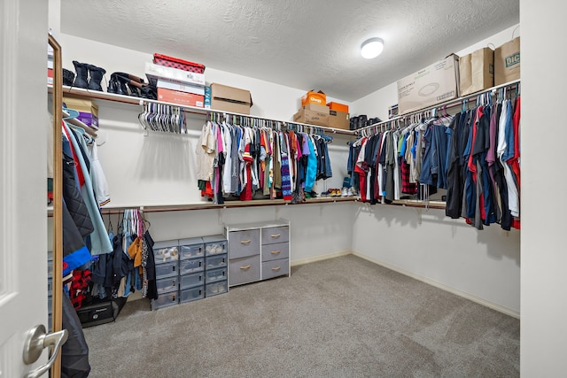 spacious closet featuring carpet floors