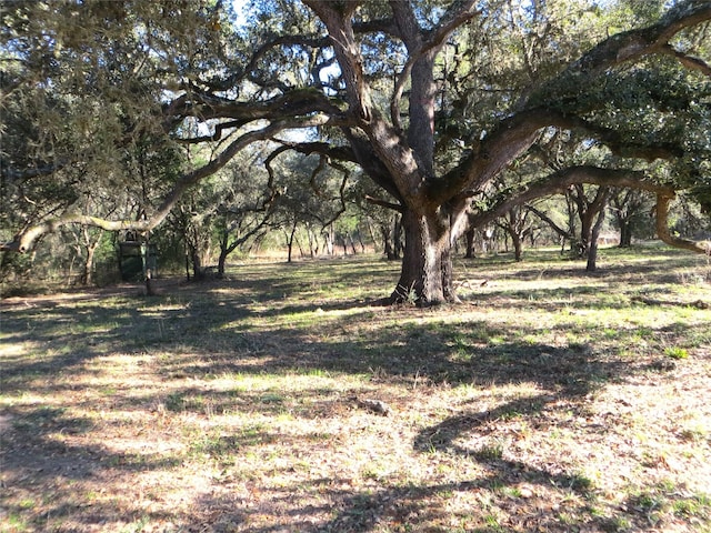 Listing photo 2 for 8003 County Road 122, Hallettsville TX 77964