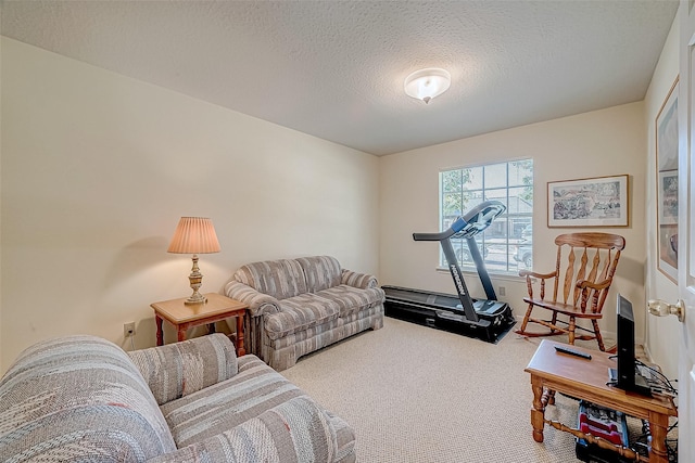 carpeted living area featuring a textured ceiling