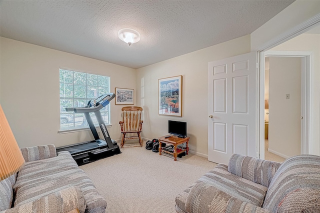 exercise room with a textured ceiling, carpet floors, and baseboards