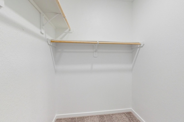 spacious closet with carpet flooring