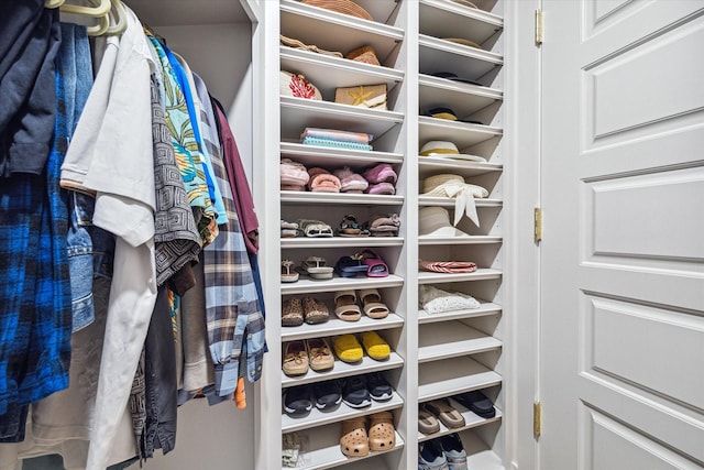 view of walk in closet