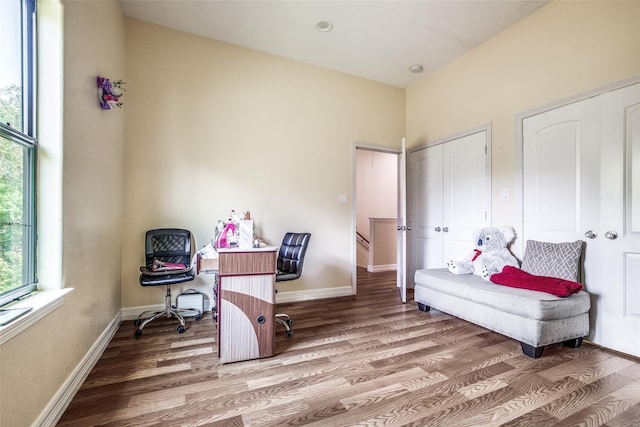 living area featuring hardwood / wood-style floors