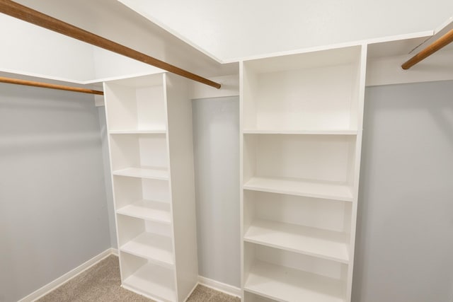 spacious closet featuring light colored carpet