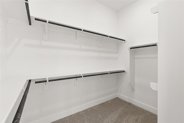 32626 Fly Fish Way, Fulshear, TX 77441 - walk in closet with carpet flooring
