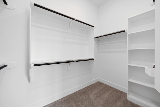 32646 Fly Fish Way, Fulshear, TX 77441 - walk in closet with dark carpet