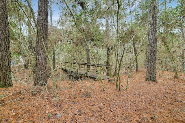 view of yard featuring a view of trees